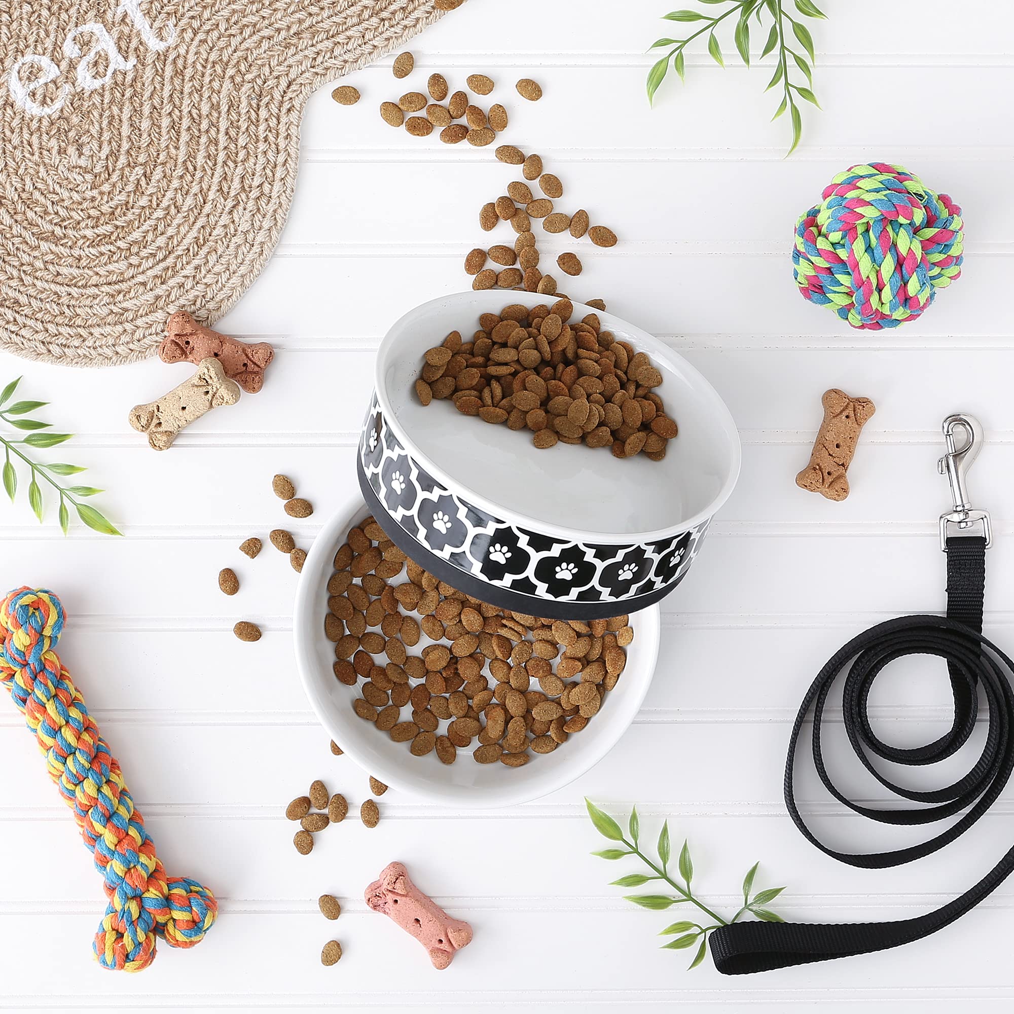 Bone Dry Lattice Collection Pet Bowl & Canister, Large Set, 7.5x2.4 inches, Black, 2 Piece